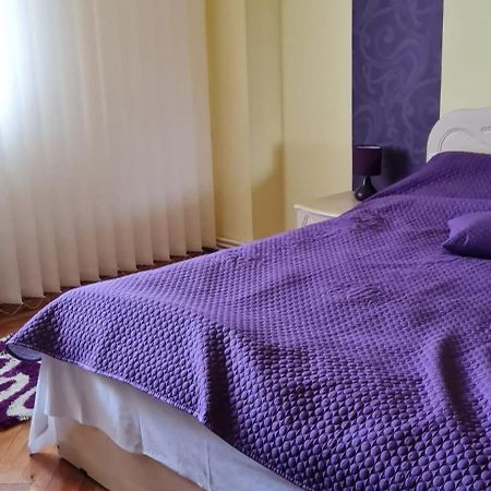 Apartament Cu 2 Camere Spatioase In Centrul Orasului - Andrei Brăila エクステリア 写真