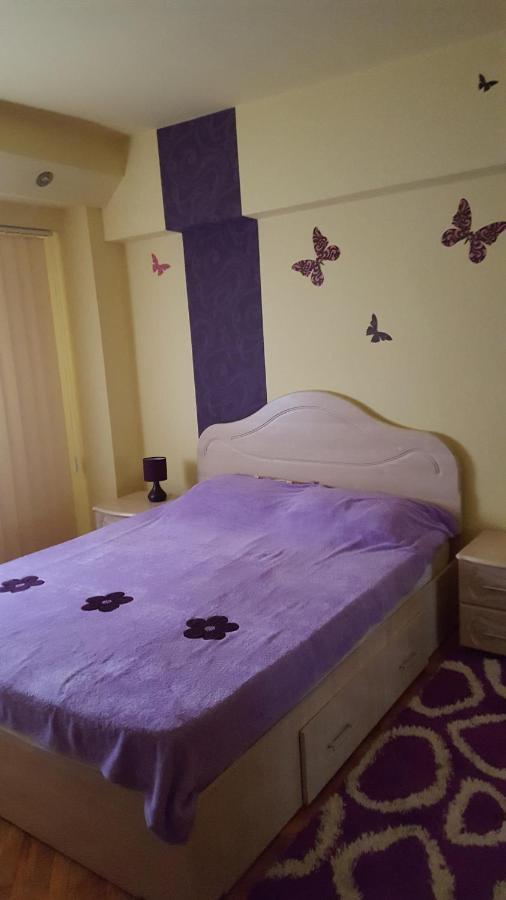 Apartament Cu 2 Camere Spatioase In Centrul Orasului - Andrei Brăila エクステリア 写真
